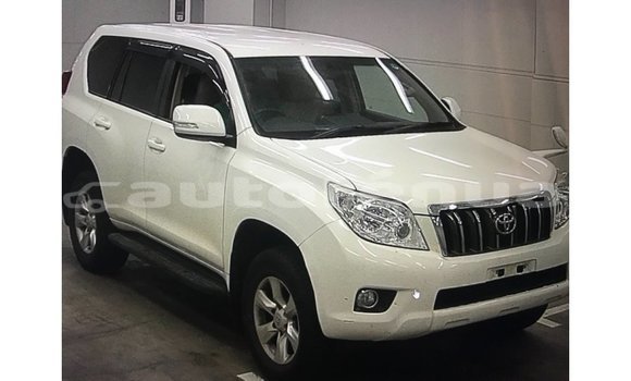 Acheter Import Voiture Toyota Prado Blanc à Import - Dubai, Marquesas Acheter Import Voiture Toyota Prado Blanc à Import - Dubai, Marquesas