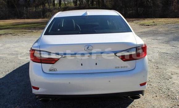 Acheter Occasion Voiture Lexus ES Blanc à Anatonu, Tubuai