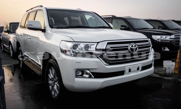 Buy Import Toyota Land Cruiser White Car in Import - Dubai in Marquesas