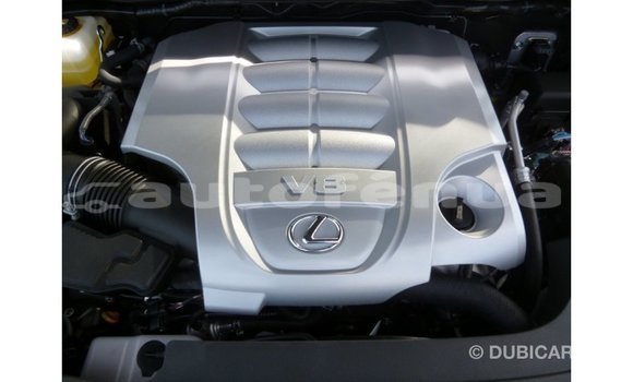 Buy Import Lexus LX Other Car in Import - Dubai in Marquesas Buy Import Lexus LX Other Car in Import - Dubai in Marquesas