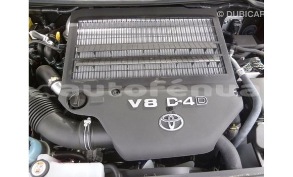 Buy Import Toyota Land Cruiser Brown Car in Import - Dubai in Marquesas Buy Import Toyota Land Cruiser Brown Car in Import - Dubai in Marquesas