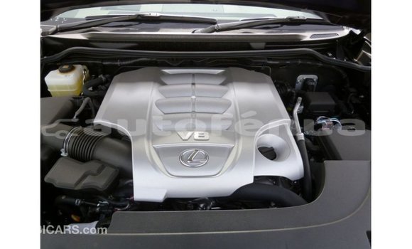 Buy Import Lexus LX Blue Car in Import - Dubai in Marquesas Buy Import Lexus LX Blue Car in Import - Dubai in Marquesas