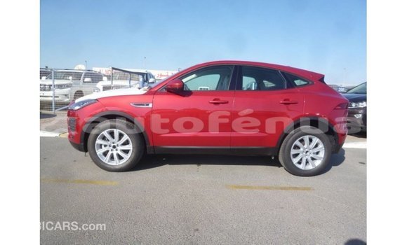 Buy Import Jaguar E-Pace Red Car in Import - Dubai in Marquesas Buy Import Jaguar E-Pace Red Car in Import - Dubai in Marquesas