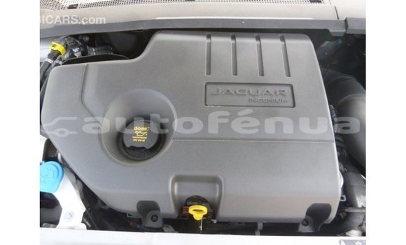 Acheter Import Voiture Jaguar E-Pace Blanc à Import - Dubai, Marquesas Acheter Import Voiture Jaguar E-Pace Blanc à Import - Dubai, Marquesas