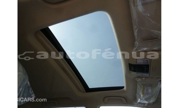 Buy Import Toyota Prado Brown Car in Import - Dubai in Marquesas Buy Import Toyota Prado Brown Car in Import - Dubai in Marquesas