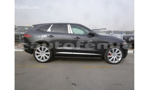 Buy Import Jaguar F-Type Black Car in Import - Dubai in Marquesas Buy Import Jaguar F-Type Black Car in Import - Dubai in Marquesas