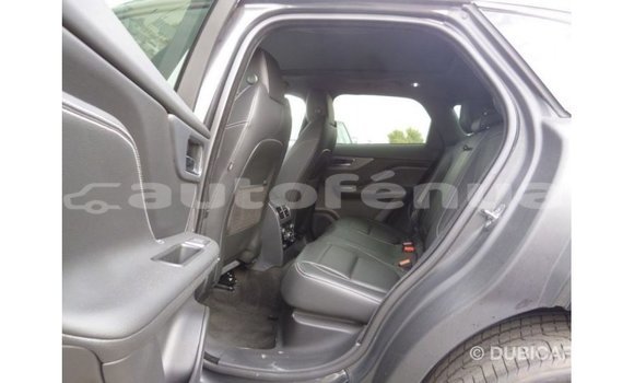 Buy Import Jaguar F-Type Black Car in Import - Dubai in Marquesas Buy Import Jaguar F-Type Black Car in Import - Dubai in Marquesas