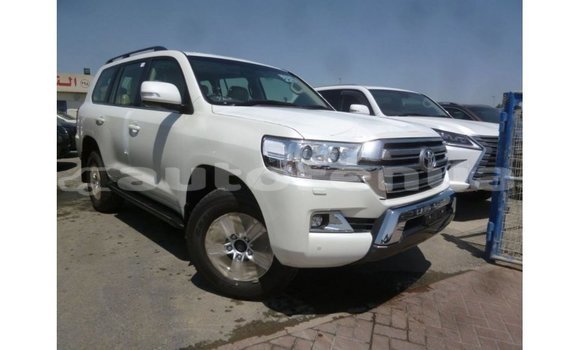 Acheter Import Voiture Toyota Land Cruiser Blanc à Import - Dubai, Marquesas