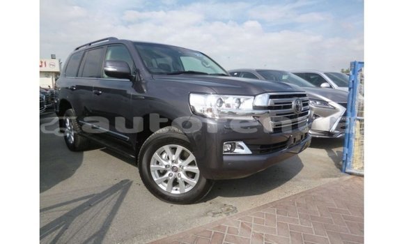 Acheter Import Voiture Toyota Land Cruiser Autre à Import - Dubai, Marquesas