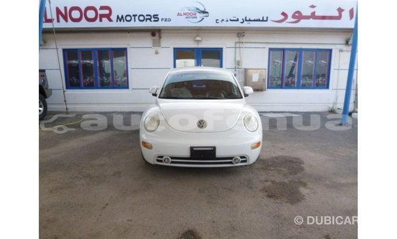 Buy Import Volkswagen Beetle White Car in Import - Dubai in Marquesas Buy Import Volkswagen Beetle White Car in Import - Dubai in Marquesas