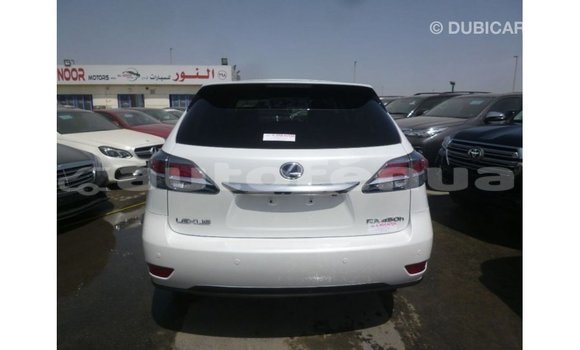 Buy Import Lexus RX White Car in Import - Dubai in Marquesas Buy Import Lexus RX White Car in Import - Dubai in Marquesas