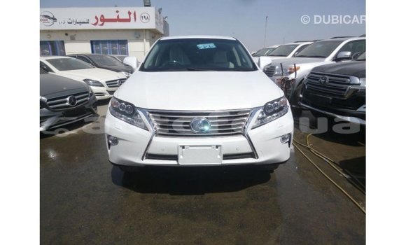Buy Import Lexus RX White Car in Import - Dubai in Marquesas Buy Import Lexus RX White Car in Import - Dubai in Marquesas