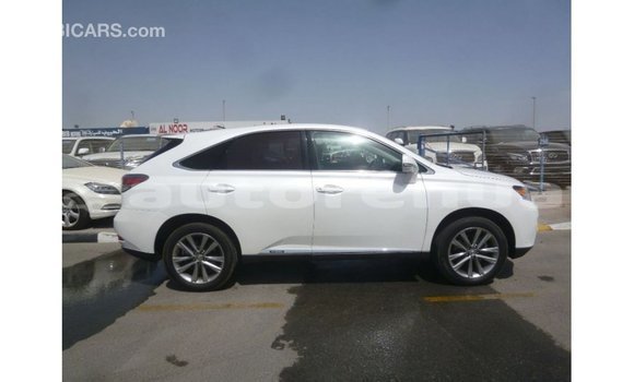Buy Import Lexus RX White Car in Import - Dubai in Marquesas Buy Import Lexus RX White Car in Import - Dubai in Marquesas