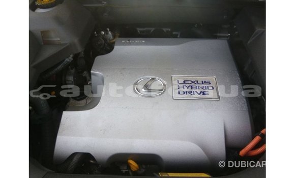 Buy Import Lexus RX White Car in Import - Dubai in Marquesas Buy Import Lexus RX White Car in Import - Dubai in Marquesas