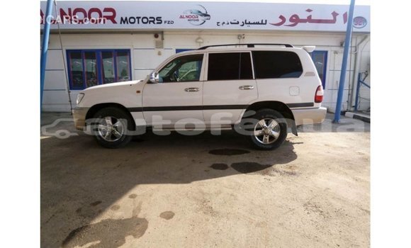 Buy Import Toyota Land Cruiser White Car in Import - Dubai in Marquesas Buy Import Toyota Land Cruiser White Car in Import - Dubai in Marquesas