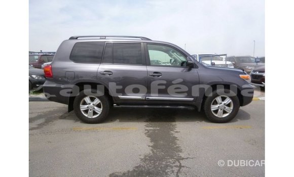 Buy Import Toyota Land Cruiser Other Car in Import - Dubai in Marquesas Buy Import Toyota Land Cruiser Other Car in Import - Dubai in Marquesas