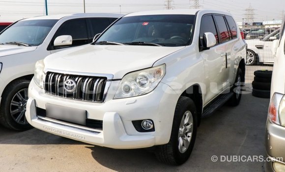 Acheter Import Voiture Toyota Prado Blanc à Import - Dubai, Marquesas Acheter Import Voiture Toyota Prado Blanc à Import - Dubai, Marquesas
