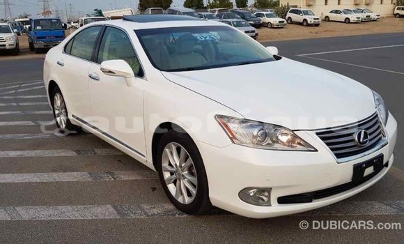 Acheter Import Voiture Lexus ES Blanc à Import - Dubai, Marquesas Acheter Import Voiture Lexus ES Blanc à Import - Dubai, Marquesas