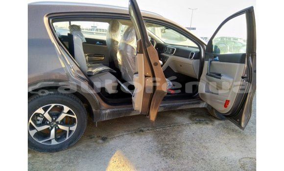 Buy Import Kia Sportage Brown Car in Import - Dubai in Marquesas Buy Import Kia Sportage Brown Car in Import - Dubai in Marquesas