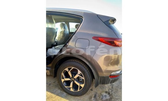 Buy Import Kia Sportage Brown Car in Import - Dubai in Marquesas Buy Import Kia Sportage Brown Car in Import - Dubai in Marquesas
