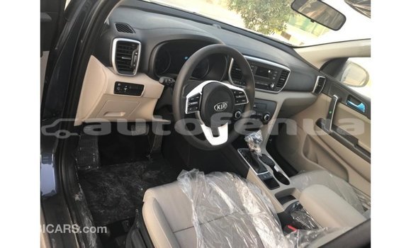 Buy Import Kia Sportage Brown Car in Import - Dubai in Marquesas Buy Import Kia Sportage Brown Car in Import - Dubai in Marquesas