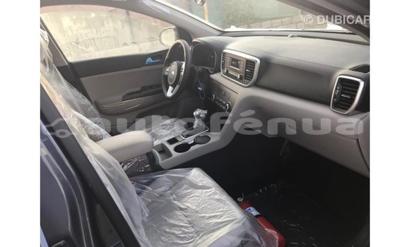 Buy Import Kia Sportage Brown Car in Import - Dubai in Marquesas Buy Import Kia Sportage Brown Car in Import - Dubai in Marquesas