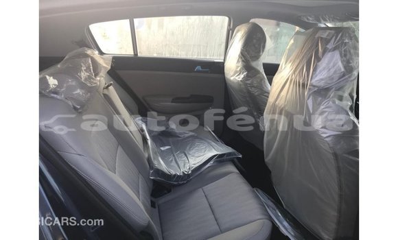 Buy Import Kia Sportage Brown Car in Import - Dubai in Marquesas Buy Import Kia Sportage Brown Car in Import - Dubai in Marquesas