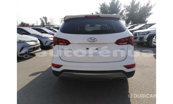 Acheter Import Voiture Hyundai Santa Fe Blanc à Import - Dubai, Marquesas