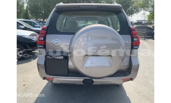Buy Import Toyota Prado Brown Car in Import - Dubai in Marquesas Buy Import Toyota Prado Brown Car in Import - Dubai in Marquesas