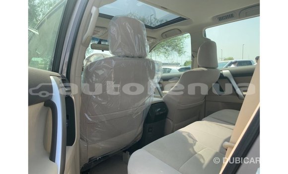 Buy Import Toyota Prado Brown Car in Import - Dubai in Marquesas Buy Import Toyota Prado Brown Car in Import - Dubai in Marquesas