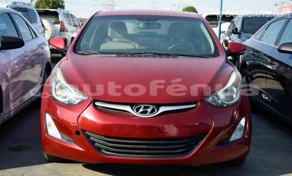 Buy Import Hyundai Elantra Red Car in Import - Dubai in Marquesas Buy Import Hyundai Elantra Red Car in Import - Dubai in Marquesas