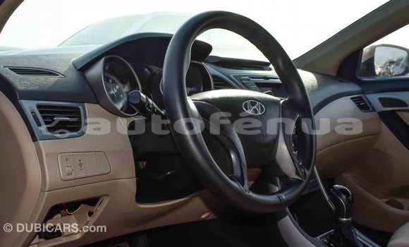 Buy Import Hyundai Elantra Red Car in Import - Dubai in Marquesas Buy Import Hyundai Elantra Red Car in Import - Dubai in Marquesas