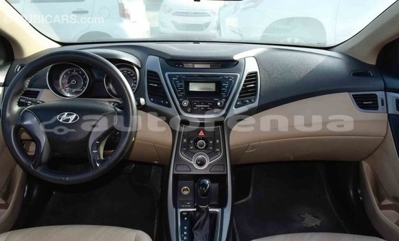 Buy Import Hyundai Elantra Red Car in Import - Dubai in Marquesas Buy Import Hyundai Elantra Red Car in Import - Dubai in Marquesas