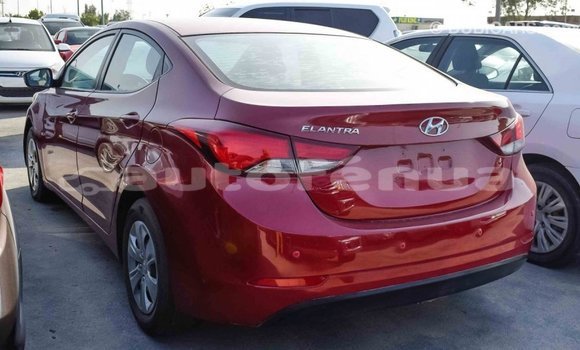 Buy Import Hyundai Elantra Red Car in Import - Dubai in Marquesas Buy Import Hyundai Elantra Red Car in Import - Dubai in Marquesas