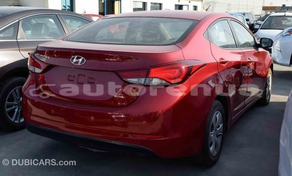 Buy Import Hyundai Elantra Red Car in Import - Dubai in Marquesas Buy Import Hyundai Elantra Red Car in Import - Dubai in Marquesas