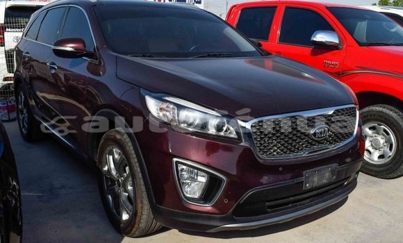 Buy Import Kia Sorento Brown Car in Import - Dubai in Marquesas Buy Import Kia Sorento Brown Car in Import - Dubai in Marquesas