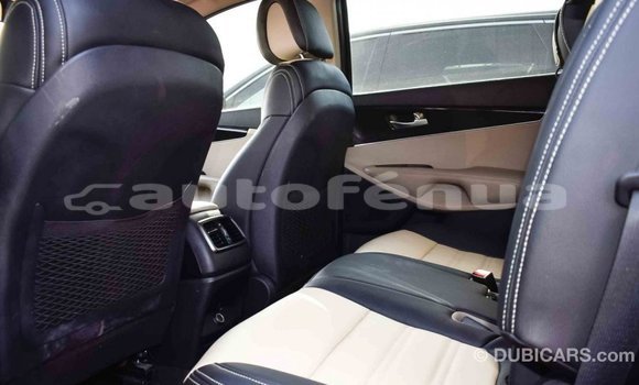 Buy Import Kia Sorento Brown Car in Import - Dubai in Marquesas Buy Import Kia Sorento Brown Car in Import - Dubai in Marquesas