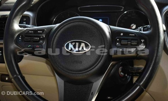 Buy Import Kia Sorento Brown Car in Import - Dubai in Marquesas Buy Import Kia Sorento Brown Car in Import - Dubai in Marquesas