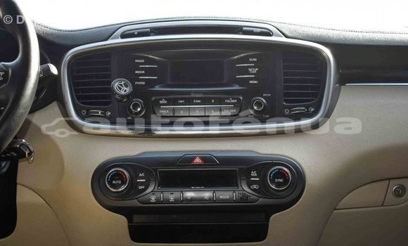 Buy Import Kia Sorento Brown Car in Import - Dubai in Marquesas Buy Import Kia Sorento Brown Car in Import - Dubai in Marquesas