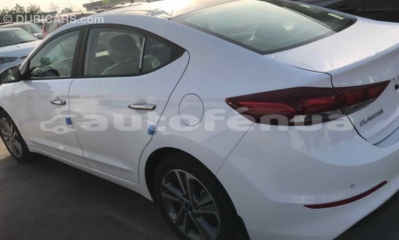 Buy Import Hyundai Elantra White Car in Import - Dubai in Marquesas Buy Import Hyundai Elantra White Car in Import - Dubai in Marquesas