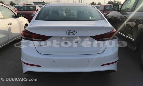 Buy Import Hyundai Elantra White Car in Import - Dubai in Marquesas Buy Import Hyundai Elantra White Car in Import - Dubai in Marquesas