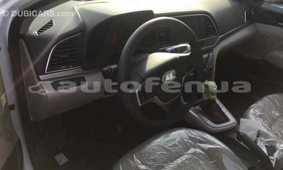 Buy Import Hyundai Elantra White Car in Import - Dubai in Marquesas Buy Import Hyundai Elantra White Car in Import - Dubai in Marquesas