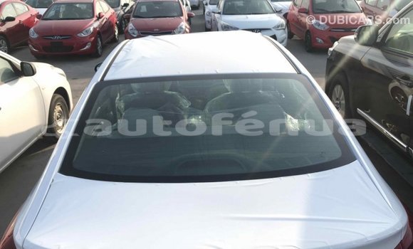 Buy Import Hyundai Elantra White Car in Import - Dubai in Marquesas Buy Import Hyundai Elantra White Car in Import - Dubai in Marquesas