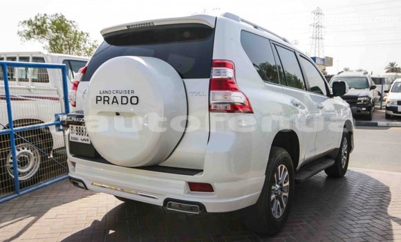 Acheter Import Voiture Toyota Prado Blanc à Import - Dubai, Marquesas Acheter Import Voiture Toyota Prado Blanc à Import - Dubai, Marquesas