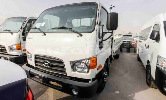 Acheter Import Utilitaire Hyundai Chorus Blanc à Import - Dubai, Marquesas