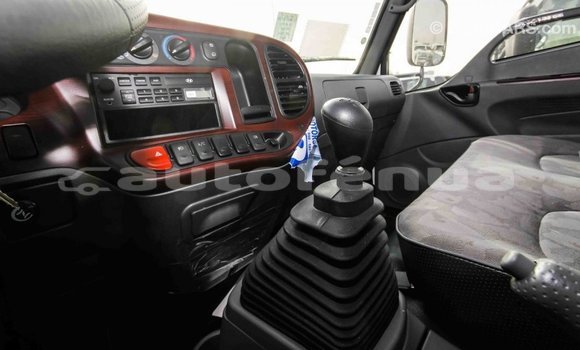 Buy Import Hyundai Chorus White Truck in Import - Dubai in Marquesas Buy Import Hyundai Chorus White Truck in Import - Dubai in Marquesas