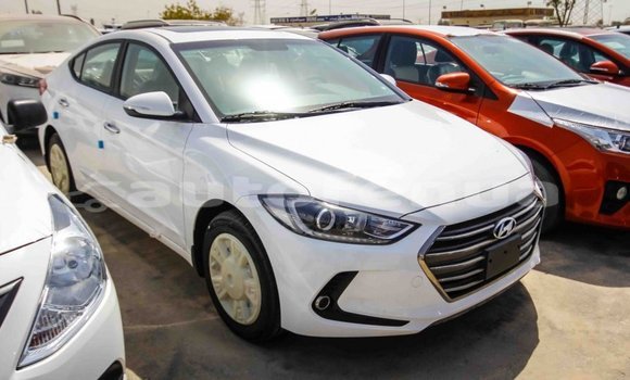 Buy Import Hyundai Elantra White Car in Import - Dubai in Marquesas Buy Import Hyundai Elantra White Car in Import - Dubai in Marquesas