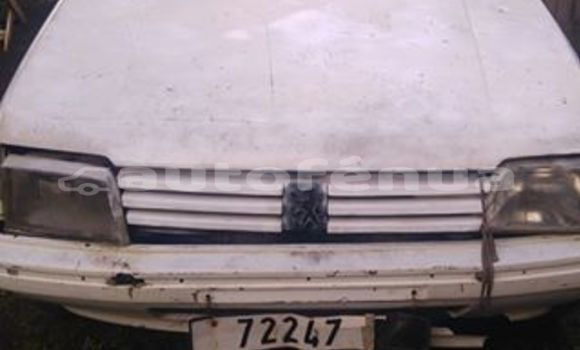 Buy Used Peugeot 205 Other Car in Mataura in Tubuai