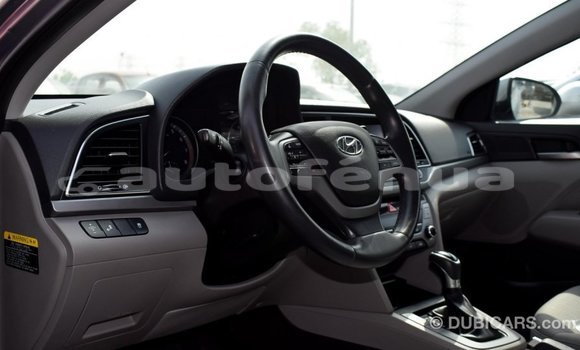 Buy Import Hyundai Elantra Other Car in Import - Dubai in Marquesas Buy Import Hyundai Elantra Other Car in Import - Dubai in Marquesas