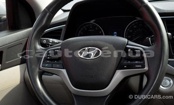 Buy Import Hyundai Elantra Other Car in Import - Dubai in Marquesas Buy Import Hyundai Elantra Other Car in Import - Dubai in Marquesas